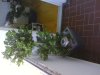 IMG_20110323_114026.jpg
