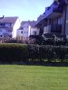 IMG_20110323_114017.jpg