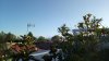 IMG_20170917_181345.jpg