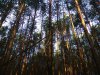IMG_20170903_075939.jpg