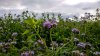 IMG_20171008_171840_HDR.jpg