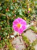 IMG_20171010_114751_HDR.jpg
