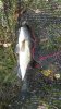 IMG_20171103_095919-600x1067.jpg