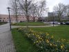 IMG_20180411_105526.jpg