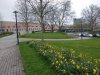 IMG_20180411_105631.jpg