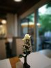 IMG_20180427_205400.jpg
