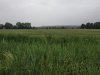 IMG_20180602_200756.jpg