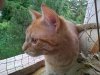 IMG_20110615_200228.jpg