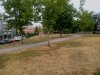IMG_20180719_102409.jpg