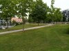 IMG_20180612_104948.jpg