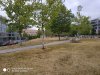 IMG_20180814_102432.jpg