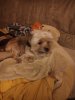 IMG_20180819_222525R.jpg