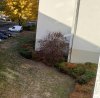 _20181030_160320.JPG