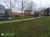 IMG_20181220_202719.jpg