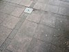 IMG_20190213_122435.jpg