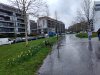 IMG_20190314_103529651_HDR.jpg