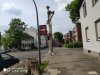 IMG_20190523_160603.jpg
