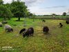 IMG_20190607_201727.jpg