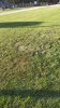 IMG_20190914_182521.jpg