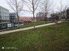IMG_20200117_104103_1.jpg