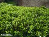 IMG_20200229_145934_0.jpg