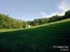 IMG_20200531_175522.jpg