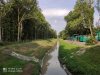 IMG_20200801_175539.jpg