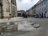 IMG_20200816_172116.jpg