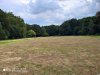 IMG_20200816_180227.jpg