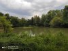 IMG_20200816_181343.jpg