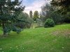 IMG_20200904_192700.jpg
