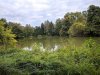 IMG_20200906_174551.jpg