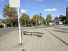 IMG_20201004_152939.jpg