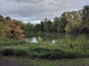 IMG_20201004_180403.jpg
