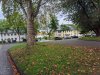 IMG_20201007_132206.jpg