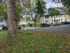 IMG_20201007_132218.jpg