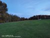 IMG_20201031_173352.jpg