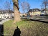 IMG_20210305_140842.jpg