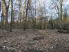 IMG_20210307_172624.jpg