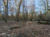 IMG_20210307_172642.jpg