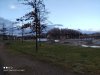 IMG_20210313_181438.jpg