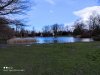 IMG_20210313_154337.jpg