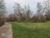 IMG_20210313_163156.jpg