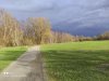 IMG_20210313_163905.jpg