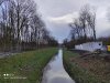 IMG_20210313_165002.jpg