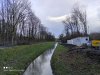 IMG_20210313_165025.jpg