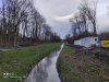 IMG_20210313_165031.jpg