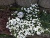 IMG_20210419_175723.jpg