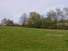 IMG_20210424_165919.jpg