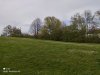 IMG_20210424_165916.jpg